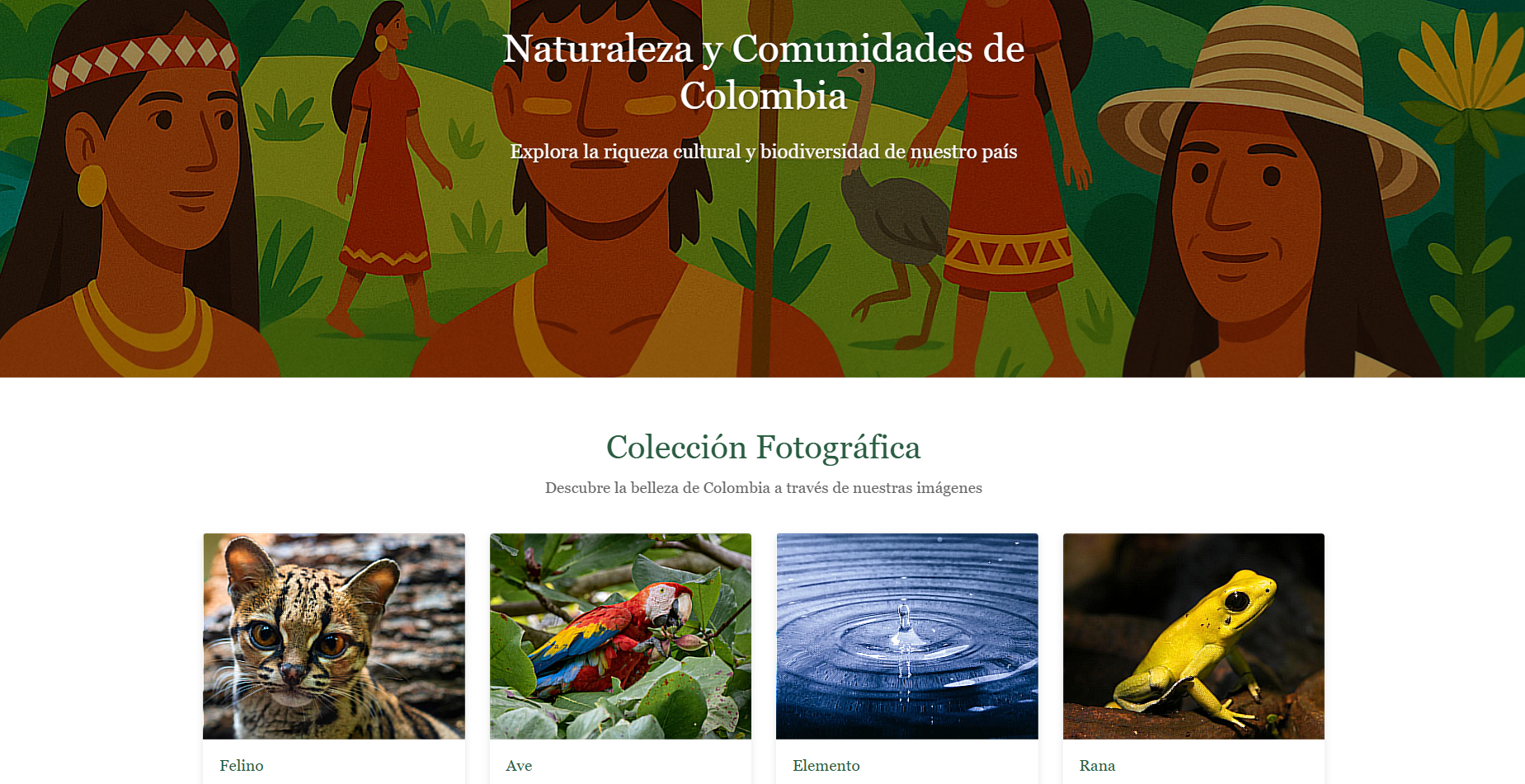 Imagen del Proyecto 1